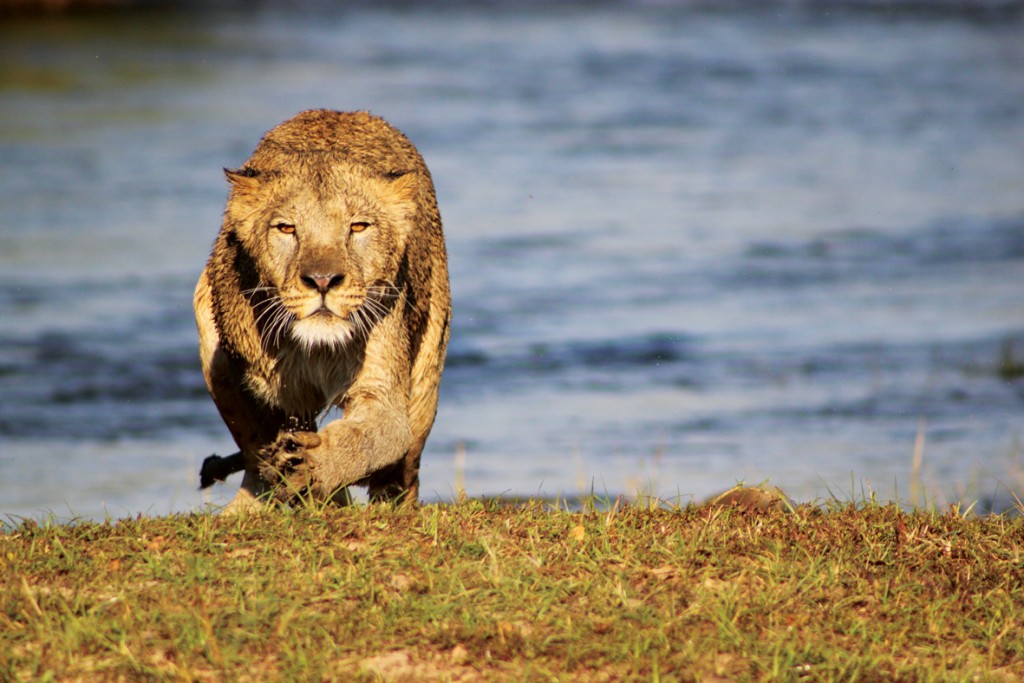 travel-around-Africa