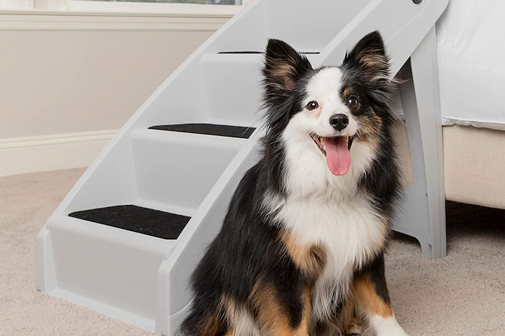 dog stairs