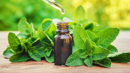 Peppermint Essential Oil